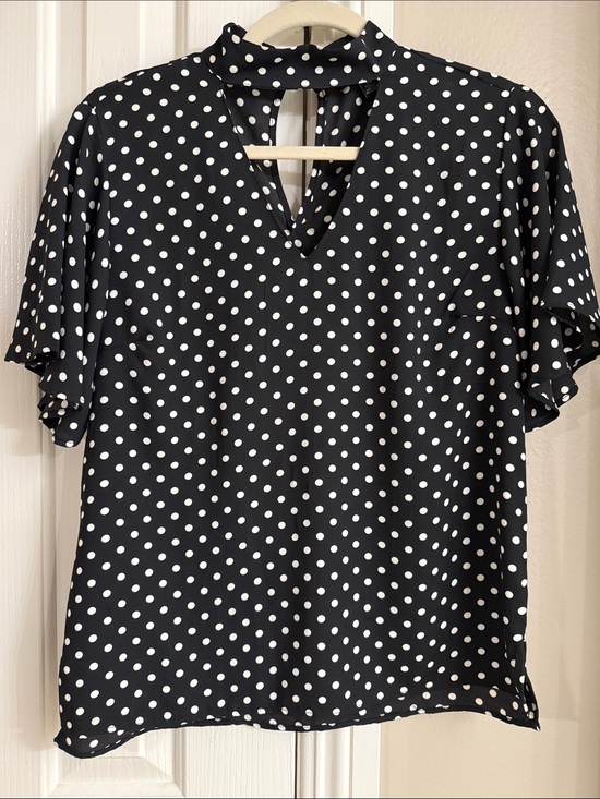 Anthropologie Tops - Black & White Polka Dot Chiffon Short Sleeve Top
